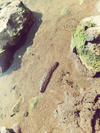 High angle view of shadow on rock