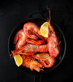 High angle view of prawns