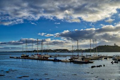 Boats moored at harbor against sky