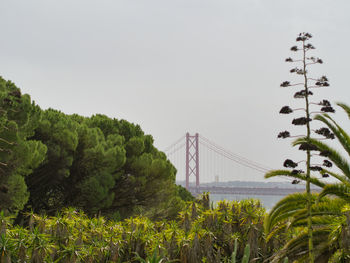 Bridge over river against clear sky