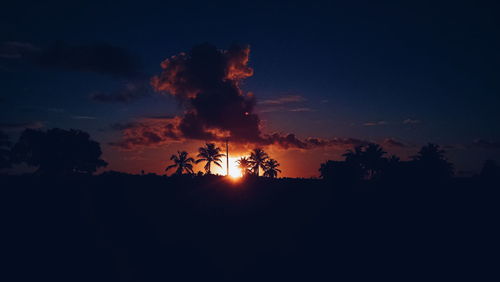 Silhouette of trees at sunset