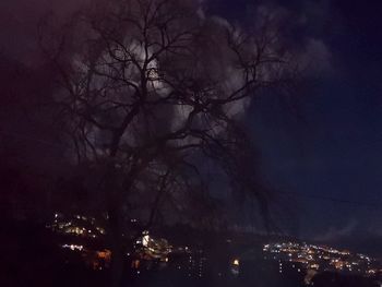 Low angle view of bare trees against sky at night