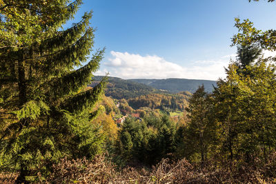 Scenic view of trees and mountains against sky