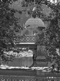 Man in swimming pool at park