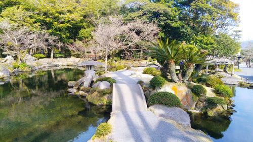 Scenic view of trees and plants