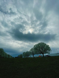 Trees on field against cloudy sky