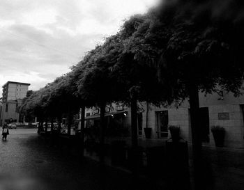 Street amidst trees and buildings against sky