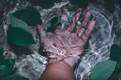 Low section of person in water at swimming pool