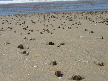 Surface level of beach