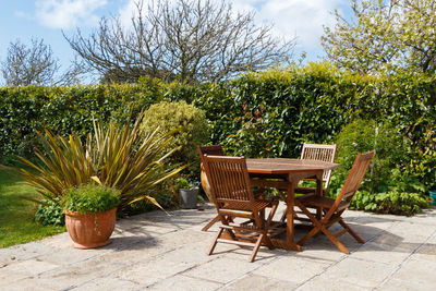 Empty chairs and tables in yard against trees