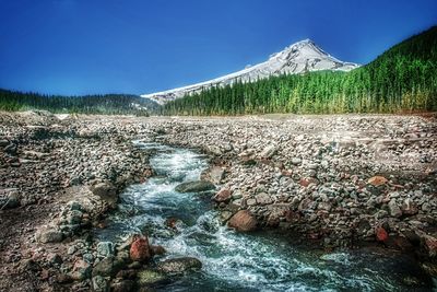 nature