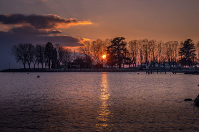 Silhouette trees by lake against sky during sunset