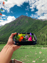 Cropped hand holding flowering plants against mountain range