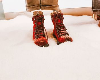 Low section of red shoes in snow