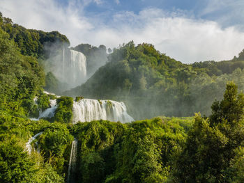 Low angle view of waterfall along lush foliage