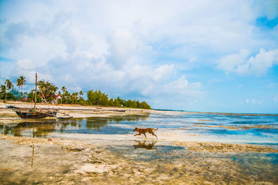 Scenic view of sea against sky