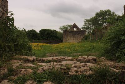 House on field against sky