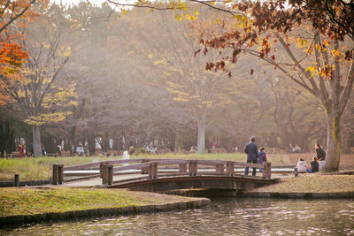 People at yoyogi park by pond during foggy weather