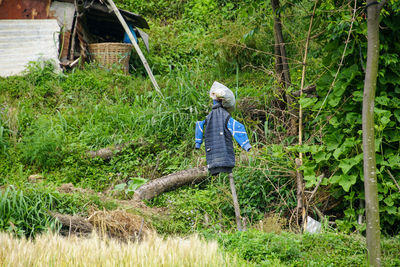 Scare crow on field against trees