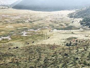 High angle view of snow covered land