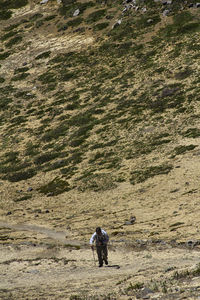 Rear view of man and woman walking on road