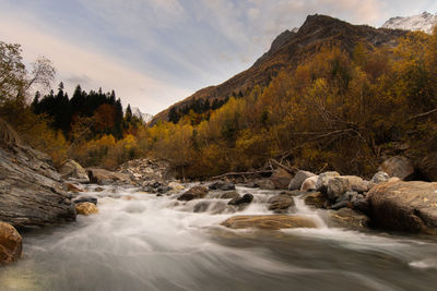 Scenic view of waterfall in forest