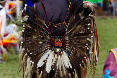 Close-up of feathers on field