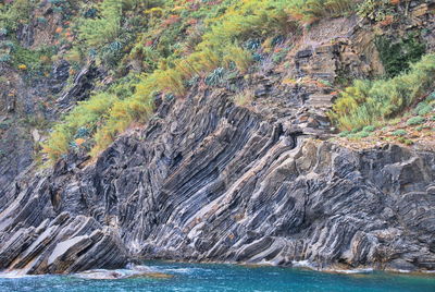 Aerial view of rocks on beach