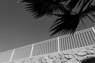 Low angle view of palm tree and railing against clear sky