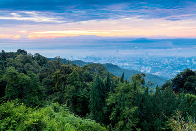 Scenic view of forest against sky