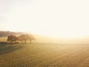 Scenic view of field against sky during foggy weather