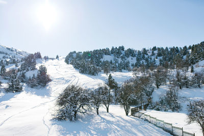 Ski and skateboard trails at beldersay resort in the tien shan mountains in uzbekistan in winter