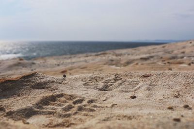 Close-up of shoe print on sand