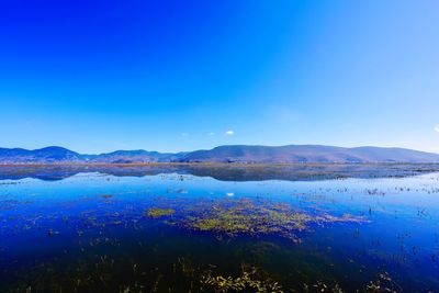 Scenic view of lake against clear blue sky