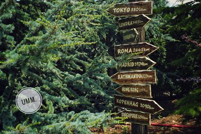 Low angle view of information sign against trees and plants