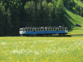 Train by trees on field