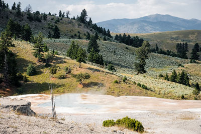 Scenic view of landscape and mountains against sky