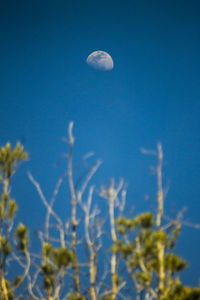 Low angle view of moon against blue sky