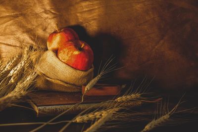 High angle view of fruits on table
