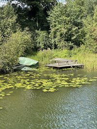 Graffiti on lake against trees