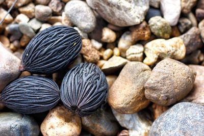 Full frame shot of pebbles