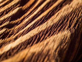 Full frame shot of textured surface