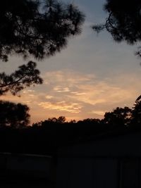 Low angle view of silhouette trees against sky at sunset