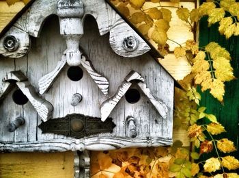 Close-up of autumn leaves on wood