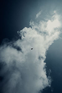 Low angle view of bird flying in sky