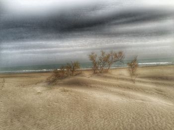 Scenic view of beach against sky