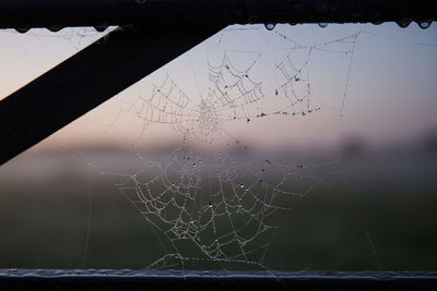 Close-up of spider web against sky