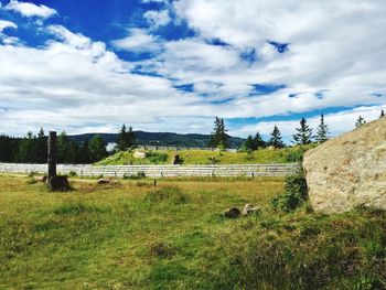 Scenic view of field against sky