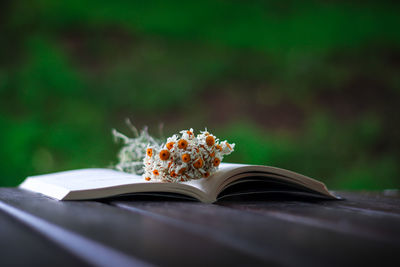 Close-up of open book on table