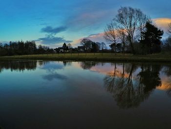 Reflection of trees in calm lake